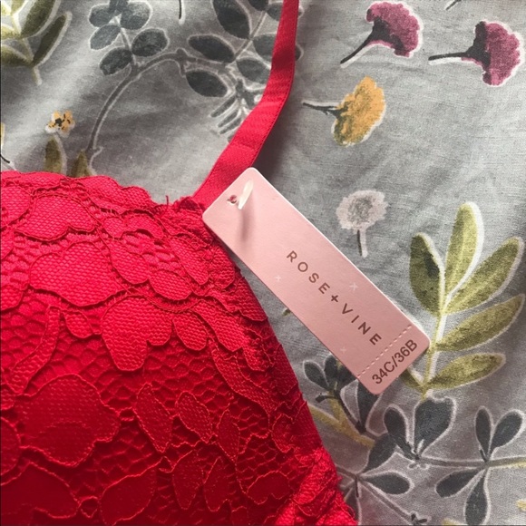 Gorgeous red lace push-up bra (NWT) - Picture 3 of 3